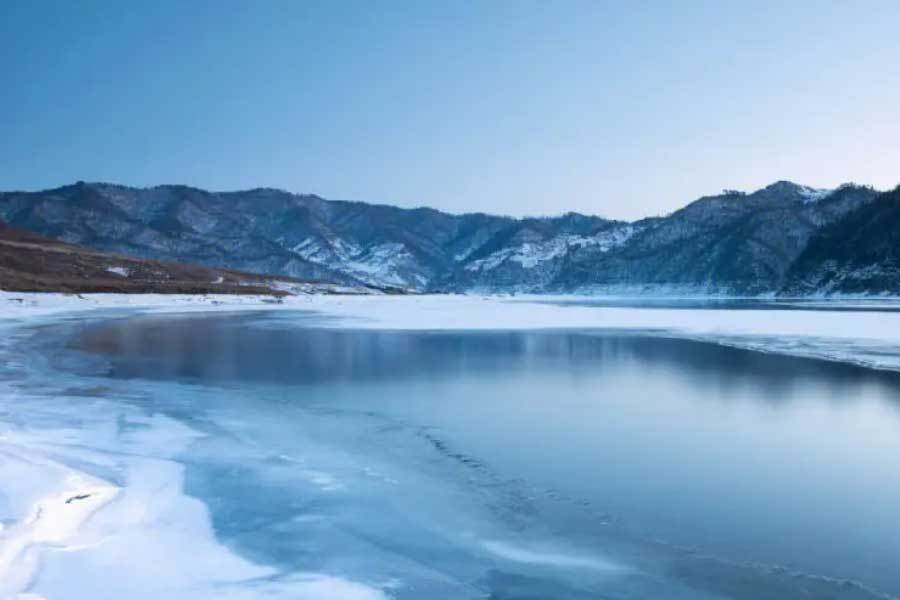 的学习与生 的学习与生